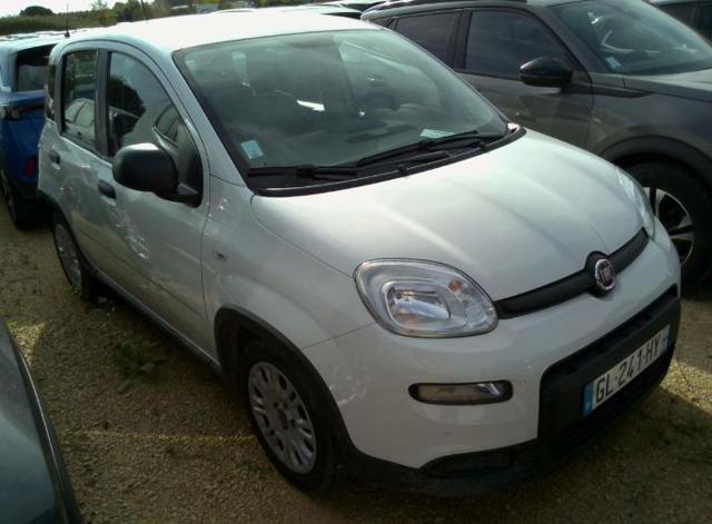 FIAT Panda 1.0 FireFly S&S Hybrid Immagine 0