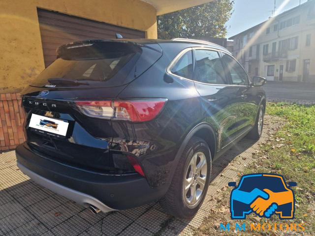 FORD Kuga 1.5 EcoBoost 120 CV  Connect SOLO 9.000KM Immagine 3