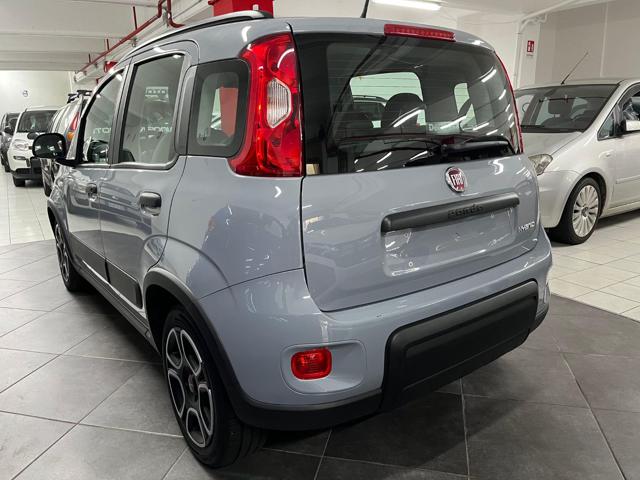 FIAT Panda 1.0 FireFly S&S Hybrid City Life Immagine 3