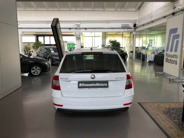 SKODA Octavia 1.6TDI Wagon Executive Immagine 4