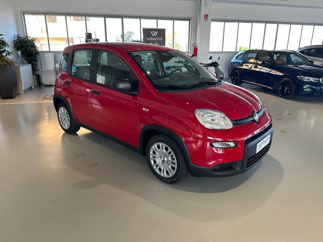 FIAT Panda 1.0 FireFly S&S Hybrid Immagine 2