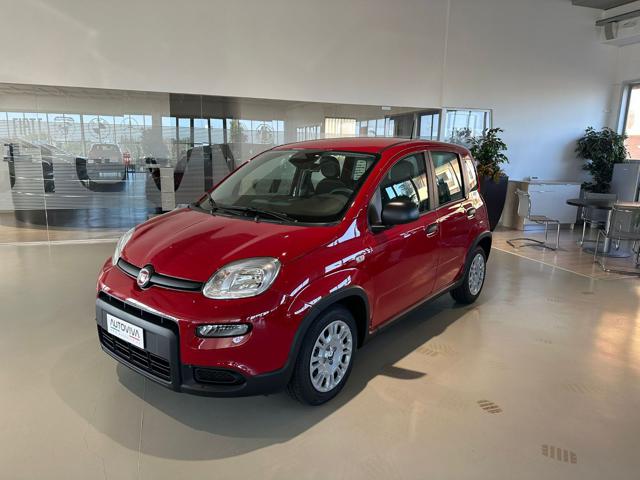 FIAT Panda 1.0 FireFly S&S Hybrid Immagine 0