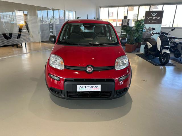 FIAT Panda 1.0 FireFly S&S Hybrid Immagine 1