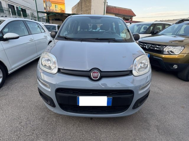 FIAT Panda 1.2 Easy KM CERTIFICATI GARANTITA 12 MESI Immagine 0