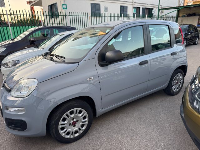 FIAT Panda 1.2 Easy KM CERTIFICATI GARANTITA 12 MESI Immagine 1