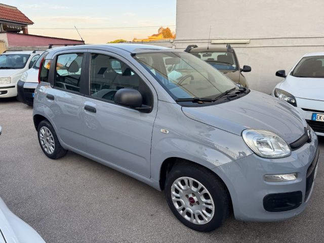 FIAT Panda 1.2 Easy KM CERTIFICATI GARANTITA 12 MESI Immagine 2