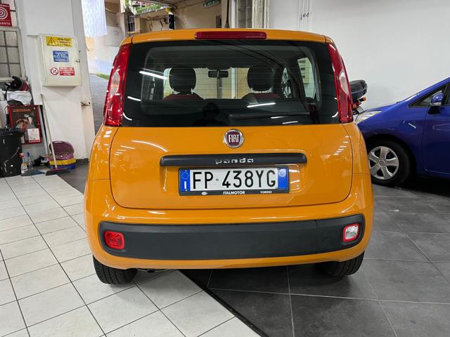 FIAT Panda 1.2 Pop Immagine 4