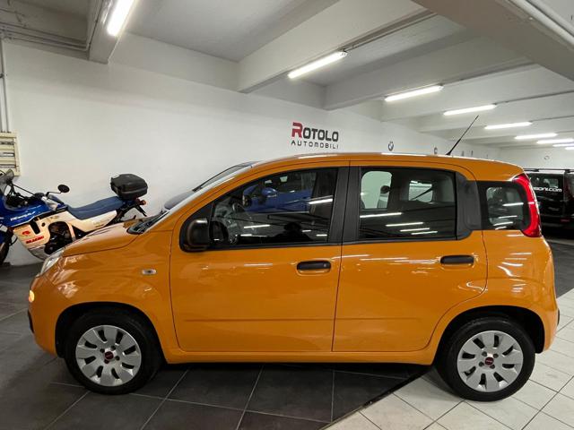 FIAT Panda 1.2 Pop Immagine 2