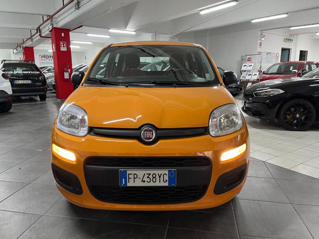 FIAT Panda 1.2 Pop Immagine 1