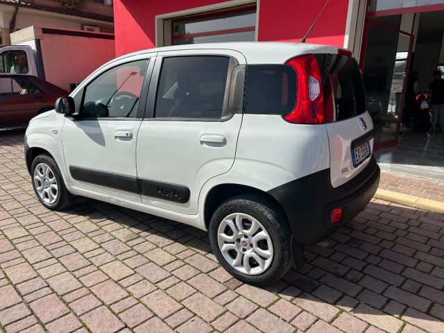 FIAT Panda 1.3 MJT S&S 4x4 Van 2 posti Immagine 3