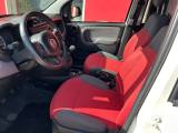 FIAT Panda 1.3 MJT S&S 4x4 Van 2 posti