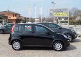 FIAT Panda 1.0 FireFly S&S Hybrid con GPL