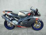 APRILIA RSV 1000 R Export (solo Esportazione)