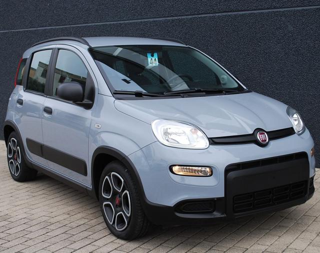 FIAT Panda 1.0 FireFly S&S Hybrid super Immagine 4