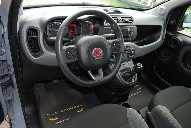 FIAT Panda 1.0 FireFly S&S Hybrid super Immagine 2