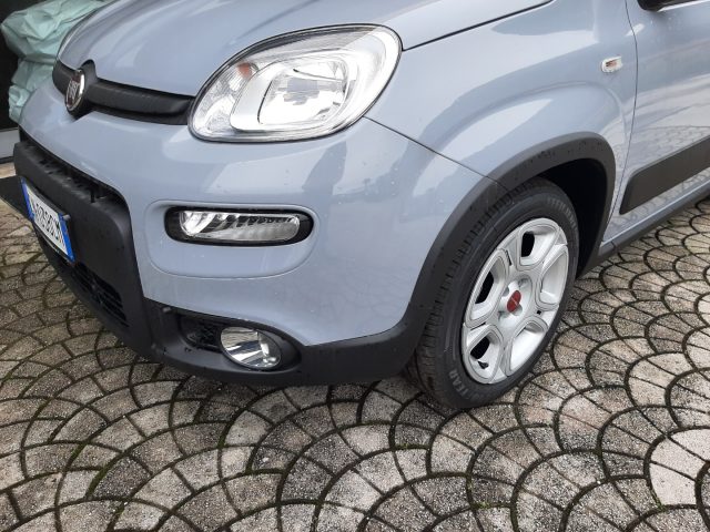 FIAT Panda 1.0 FireFly S&S Hybrid City Life - OK NEOPATENTATI Immagine 1