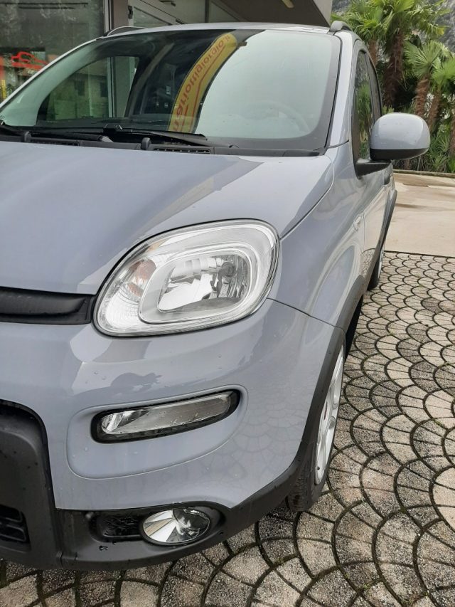 FIAT Panda 1.0 FireFly S&S Hybrid City Life - OK NEOPATENTATI Immagine 2