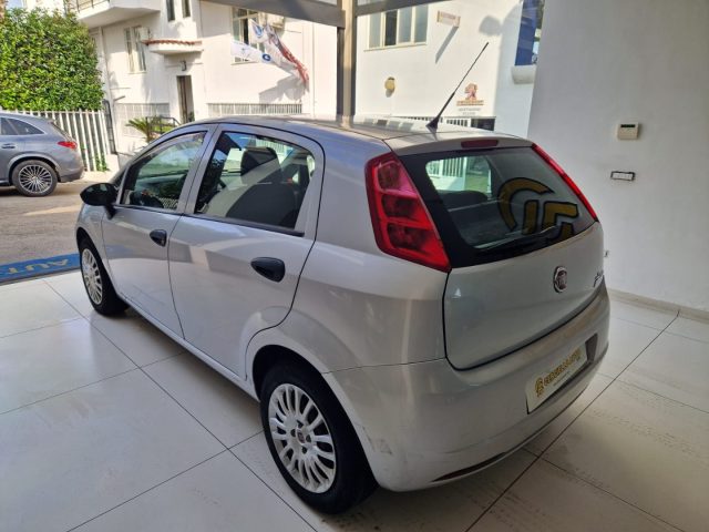 FIAT Punto Evo 1.2 5 porte Dynamic Immagine 1