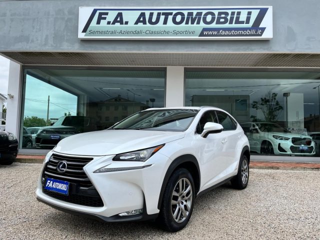 LEXUS NX 300 Hybrid 4WD Executive Immagine 0