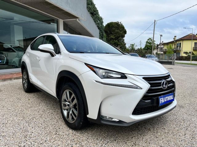 LEXUS NX 300 Hybrid 4WD Executive Immagine 3