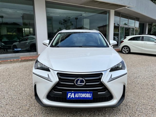 LEXUS NX 300 Hybrid 4WD Executive Immagine 2