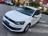 VOLKSWAGEN Polo 1.2 5 porte Trendline