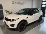 LAND ROVER Discovery Sport 2.0 TD4 150 CV AWD Auto Business Ed. Premium SE