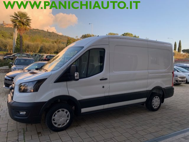 FORD Transit 290 2.0TDCi EcoBlue MHEV 130CV PM-TM Furgone Trend Immagine 1