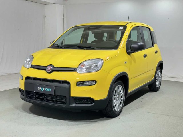 FIAT Panda 1.0 FireFly S&S Hybrid Immagine 0