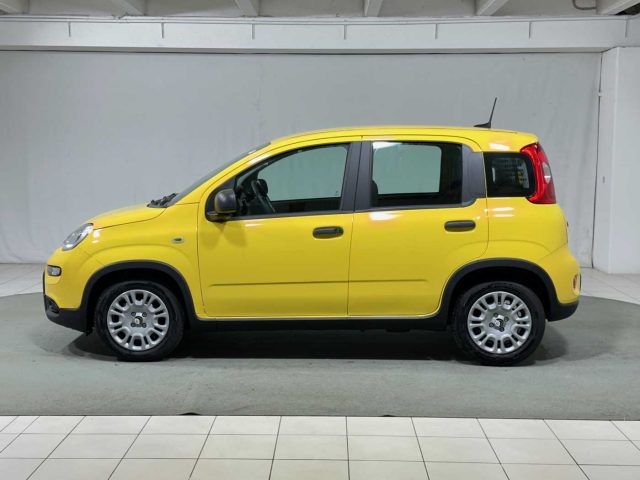 FIAT Panda 1.0 FireFly S&S Hybrid Immagine 1