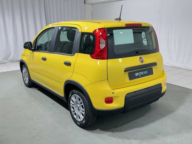 FIAT Panda 1.0 FireFly S&S Hybrid Immagine 2