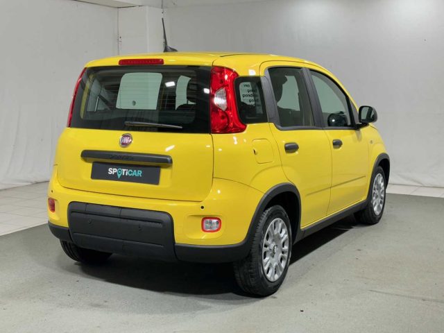 FIAT Panda 1.0 FireFly S&S Hybrid Immagine 4