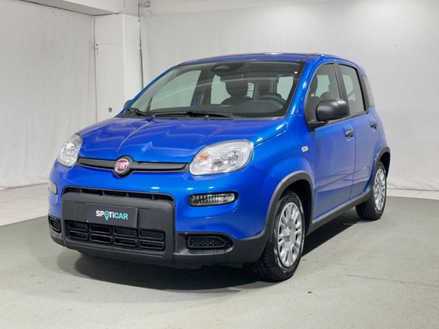 FIAT Panda 1.0 FireFly S&S Hybrid Immagine 0