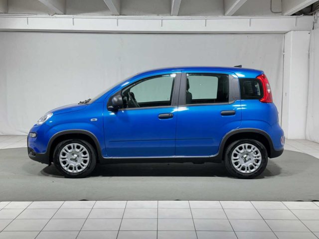 FIAT Panda 1.0 FireFly S&S Hybrid Immagine 1