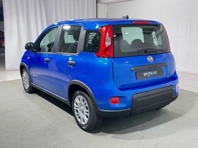 FIAT Panda 1.0 FireFly S&S Hybrid Immagine 2