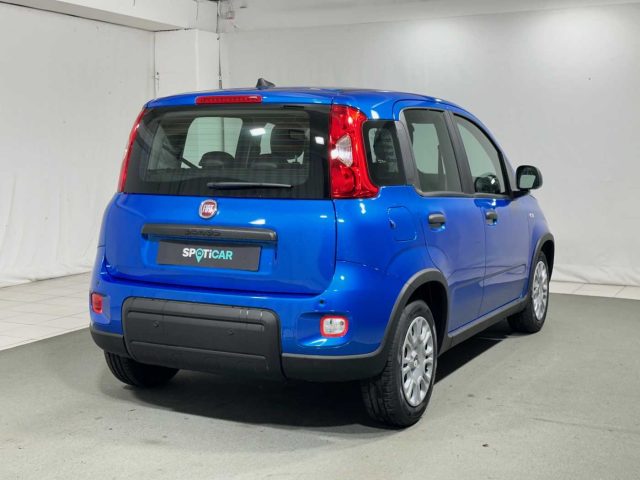 FIAT Panda 1.0 FireFly S&S Hybrid Immagine 4