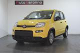 FIAT Panda 1.0 FireFly S&S Hybrid Pandina