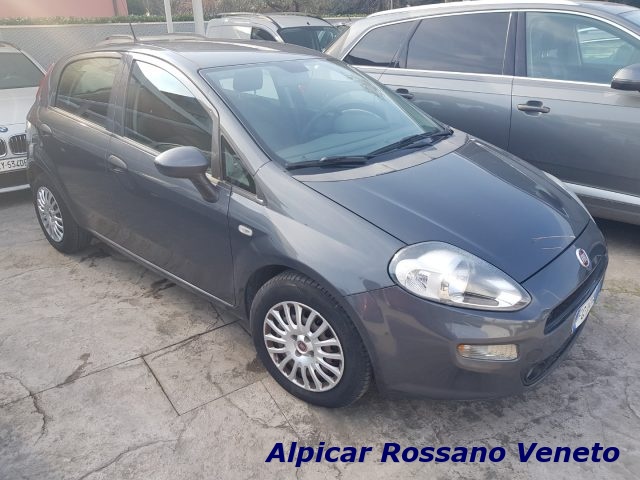 FIAT Punto 1.3 MJT II S&S 95 CV 5 porte Street Immagine 2