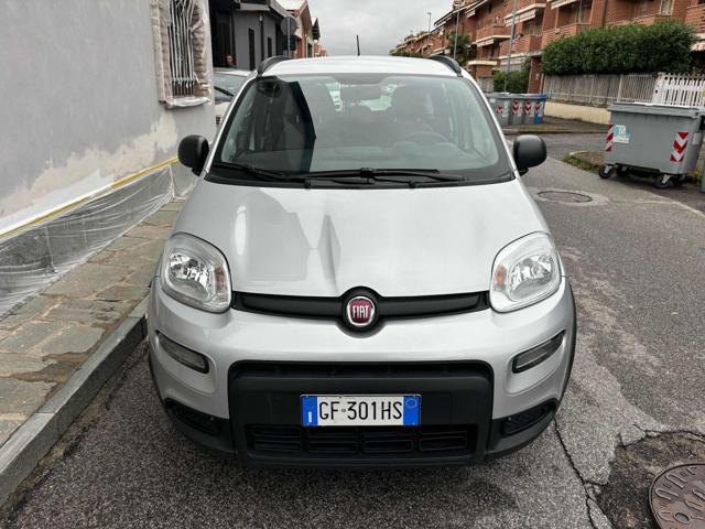 FIAT Panda 1.0 FireFly S&S Hybrid Immagine 2