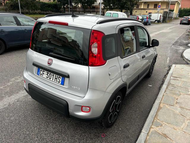 FIAT Panda 1.0 FireFly S&S Hybrid Immagine 1