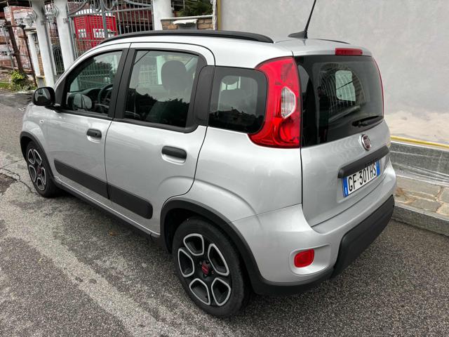 FIAT Panda 1.0 FireFly S&S Hybrid Immagine 4