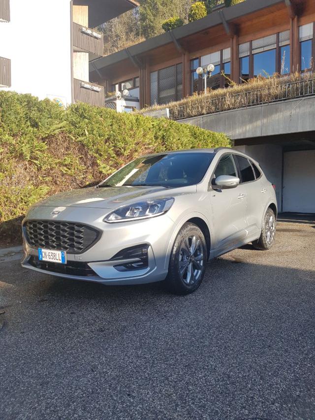 FORD Kuga 2.0 EcoBlue 120 CV aut. 2WD ST-Line Immagine 0