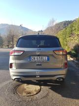 FORD Kuga 2.0 EcoBlue 120 CV aut. 2WD ST-Line