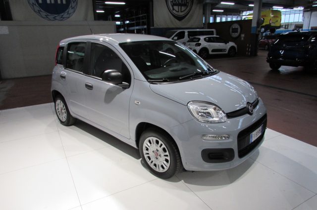 FIAT Panda 1.2 Easy 69cv 5 POSTI OK NEOPATENTATI Immagine 1