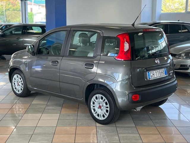 FIAT Panda 1.0 FireFly S&S Hybrid Immagine 2