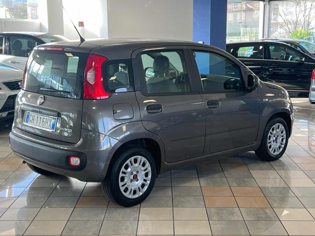 FIAT Panda 1.0 FireFly S&S Hybrid Immagine 3