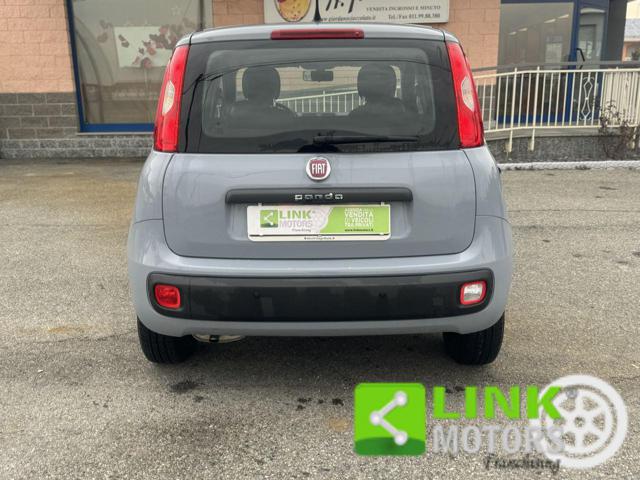 FIAT Panda 1.2 Immagine 4