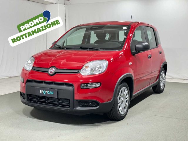 FIAT Panda 1.0 FireFly S&S Hybrid Immagine 0