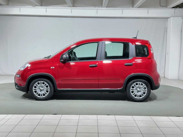 FIAT Panda 1.0 FireFly S&S Hybrid Immagine 1