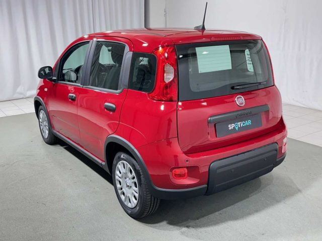 FIAT Panda 1.0 FireFly S&S Hybrid Immagine 2